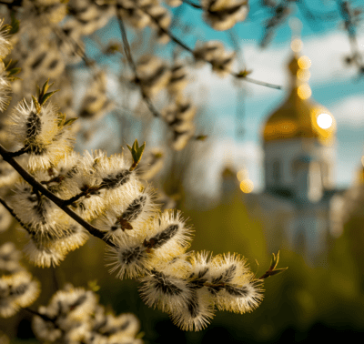 Вербное воскресенье